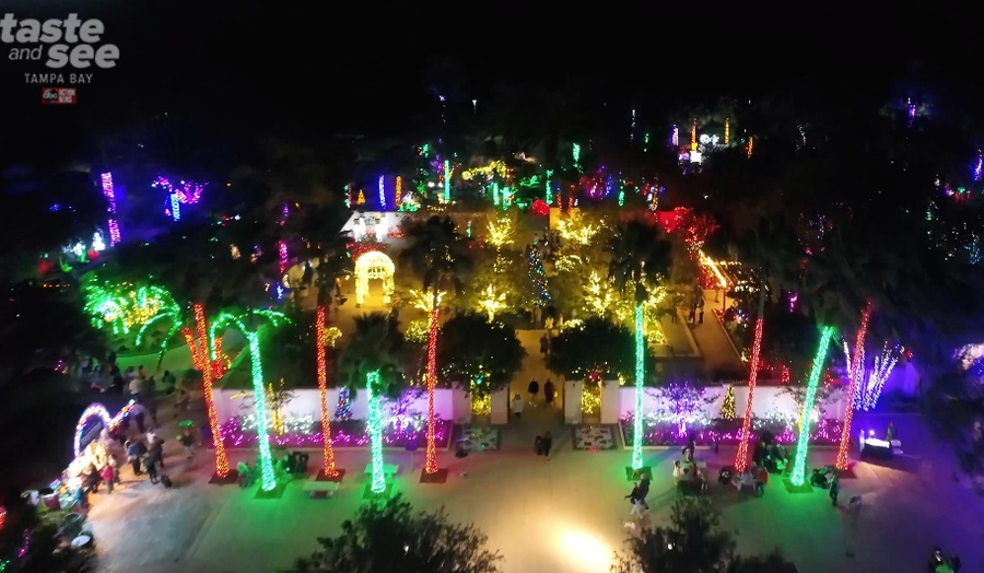 photos christmas lights at the florida botanical gardens largo botanical gardens christmas lights 2019